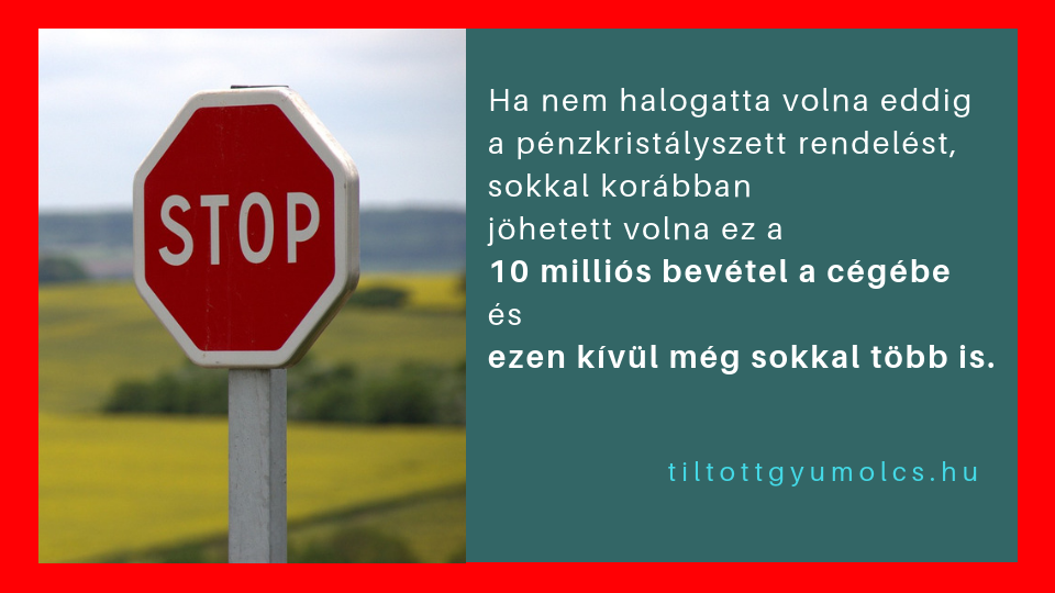 Ha nem halogatta volna eddig a pénzkristályszett rendelést, sokkal korábban jöhetett volna ez a 10 milliós bevétel a cégébe és ezen kívül még sokkal több is.