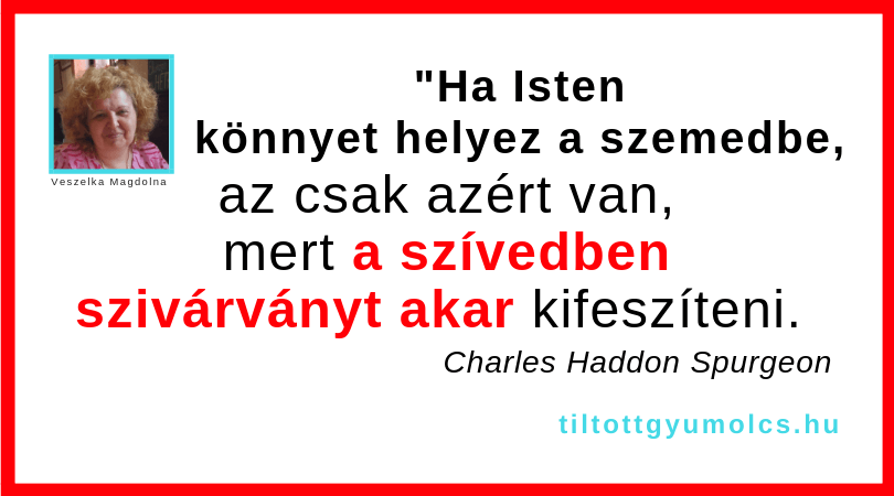 Ha rosszak a napjaid, ha könnyes a szemed, az azt jelenti, hogy Isten próba elé állított, hogy a túloldalon szívárványt varázsolhasson a szívedbe! - Tiltott gyümölcs