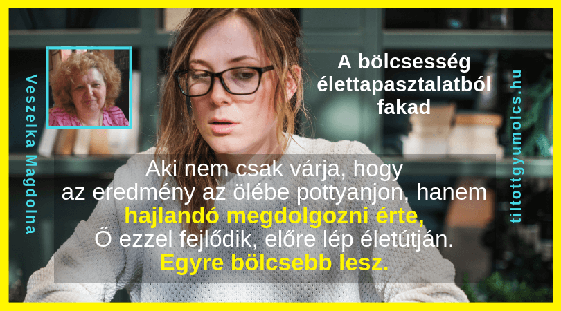 A bölcsesség élettapasztalatból fakad - Tiltott gyümölcs