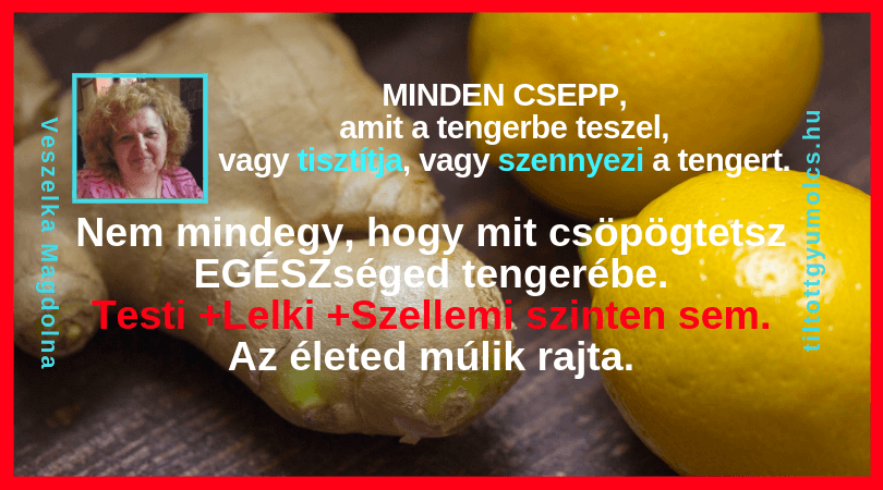 Minden apróság fontos, amit EGÉSZségedért teszel. Minden falat, minden gondolat, minden mozdulat - Tiltott gyümölcs