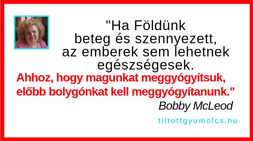 Az EGÉSZség nem adottság, nem a véletlen műve! Aktív tettek, tudatos gondolatok vezetnek el az EGÉSZséges életmódhoz! - Tiltott gyümölcs