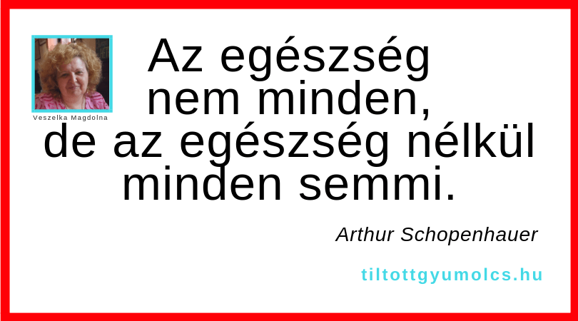 Az egészség nem minden, de az egészség nélkül minden semmi. (Arthur Schopenhauer) Az egészség nem minden, de az egészség nélkül minden semmi. (Arthur Schopenhauer)