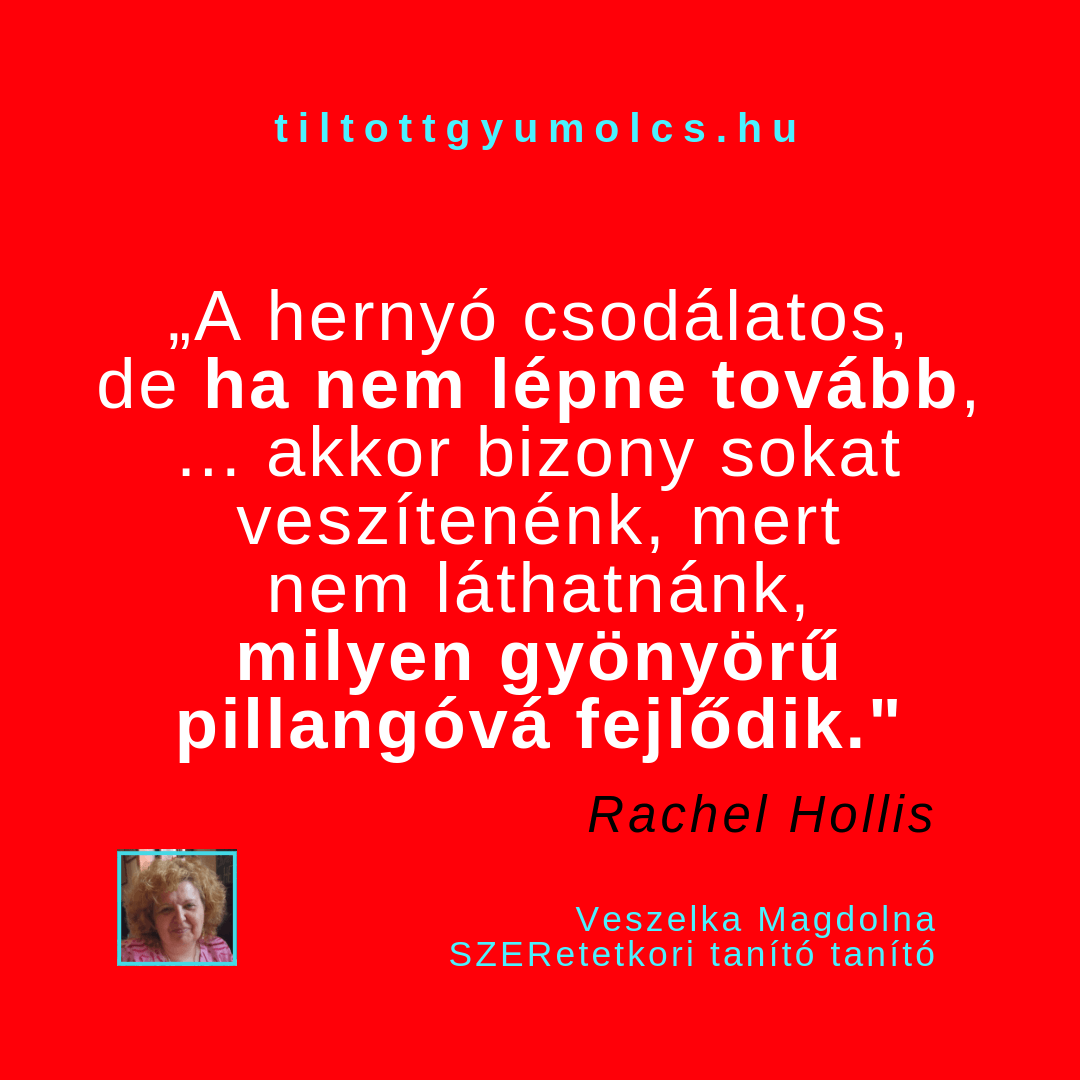 idézet - A hernyónak is muszáj előre lépnie, hogy pillangóvá váljon. Neki is nehéz, fájdalmas folyamat meghaladni korábbi önmagát! Az eredmény viszont mindenért kárpótolja! - Tiltott gyümölcs idézet - A hernyónak is muszáj előre lépnie, hogy pillangóvá váljon. Neki is nehéz, fájdalmas folyamat meghaladni korábbi önmagát! Az eredmény viszont mindenért kárpótolja! - Tiltott gyümölcs