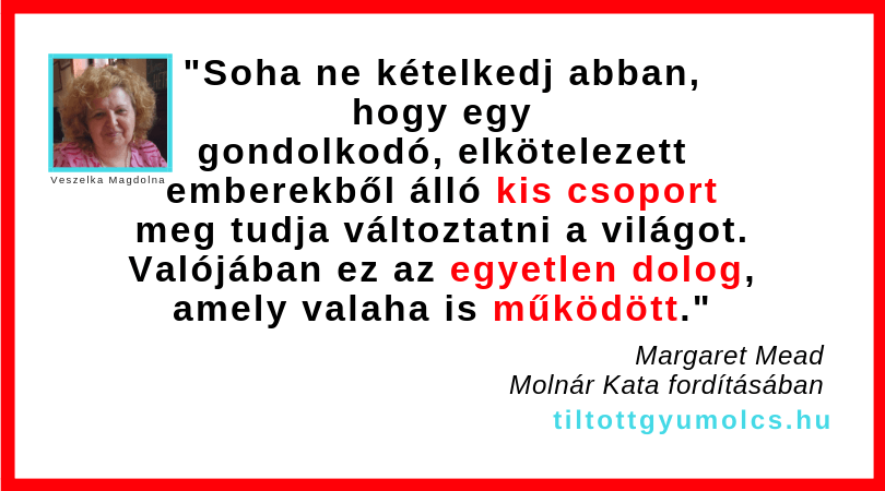 Soha ne kételkedj abban, hogy egy gondolkodó, elkötelezett emberekből álló kis csoport meg tudja változtatni a világot. Valójában ez az egyetlen dolog, amely valaha is működött.