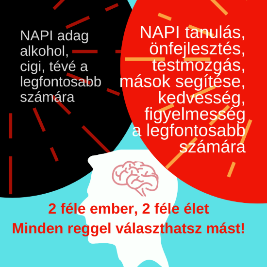 Az agy 2 féle használata 2 különböző életminőséget eredményez