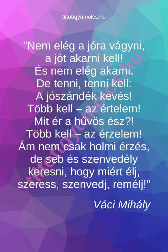 Váci Mihály: Még nem elég!